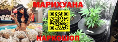 амф Новодвинск