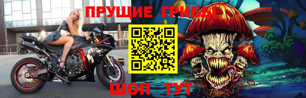 Улан-Удэ  Галлюциногенные грибы мухоморы  Галлюциногенные грибы GOLDEN TEACHER  Вход с VPN 