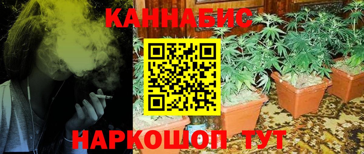 Бошки Шишки OG Kush  Вход с VPN  Улан-Удэ  Канабис конопля  Шишки марихуана конопля 